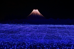 008_Mt.Fuji in moonlight.jpg